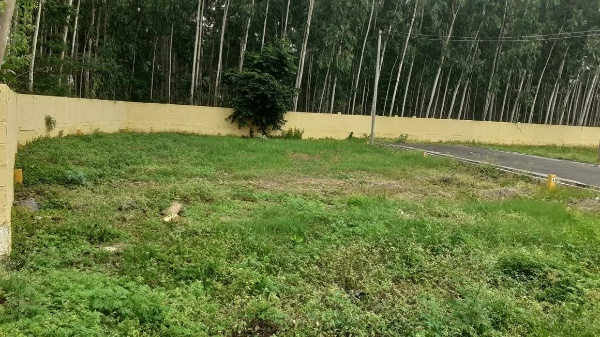 Nova KNT Premium Residential Plots in Oragadam, Chennai